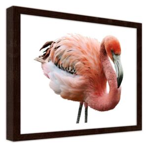 CARO Imagine în cadru - Pink Flamingo 40x30 cm Maro