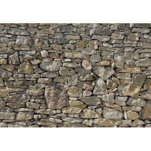 Fototapet Stone Wall 368x254 cm