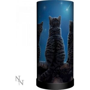 Veioza pisici Stele Cazatoare - Lisa Parker - 30 cm