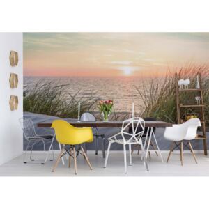 Fototapet - Coastal Sand Dunes Beach Sunset Vliesová tapeta - 254x184 cm