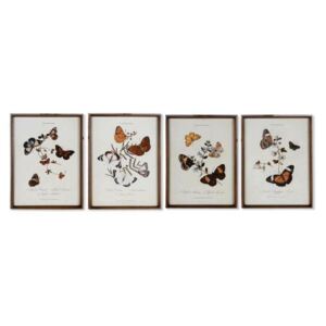Butterfly Set 4 tablouri cu fluturi, Lemn, Multicolor