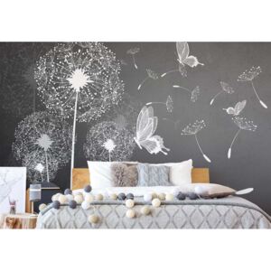 Fototapet GLIX - Dandelions And Butterflies In Grey + adeziv GRATUIT Tapet nețesute - 254x184 cm