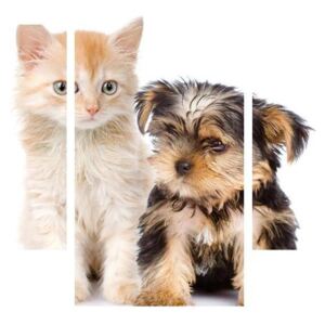 Tablou câine și pisica (K012235K90603PCS)