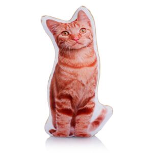 Pernă cu imprimeu Adorable Cushions Midi Ginger Cat