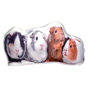 Pernă cu imprimeu Adorable Cushions Guineea Pigs