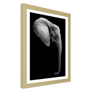 CARO Imagine în cadru - Elephant In Black And White 40x50 cm Natural