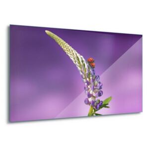 Tablou pe sticlă - Purple Meeting 4 x 30x80 cm