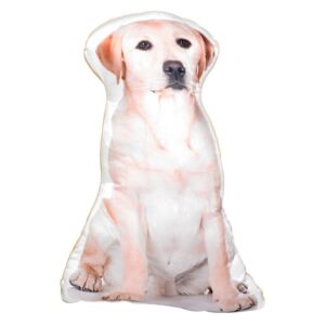 Pernă cu imprimeu Adorable Cushions