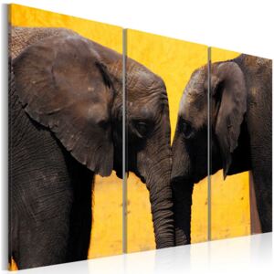 Bimago Tablou - Elephant Kiss 60x40 cm