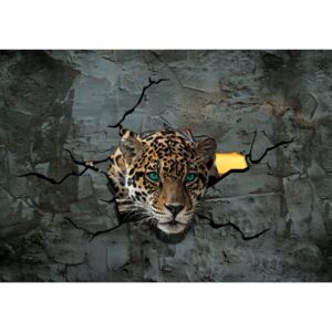 Fototapet vlies: Gepard în zid - 416x254 cm
