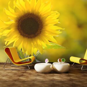 Fototapet Bimago - Sunflower + Adeziv gratuit 200x154 cm