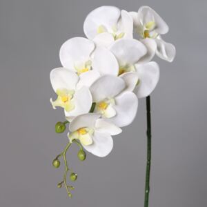 Orhidee artificiala fir alba - 83 cm