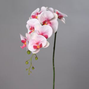 Orhidee artificiala fir roz-crem - 83 cm