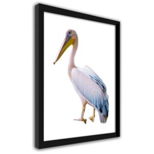 CARO Imagine în cadru - Pelican 40x50 cm Negru