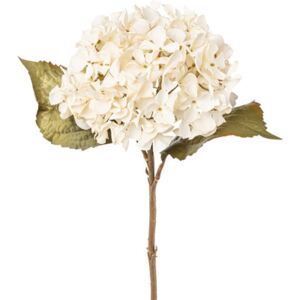 Floare artificiala Hortensie H 46 cm bej