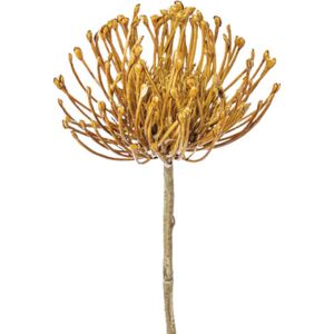 Floare artificiala Protea H 48 cm bej