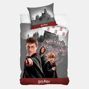 Lenjerie de pat pentru copii Harry Potter fun multicolor 140x200 cm