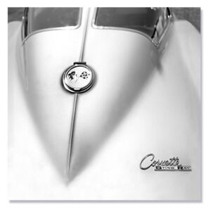 Tablou Canvas - Chevrolet Stingray, masina, vehicul, auto, alb negru