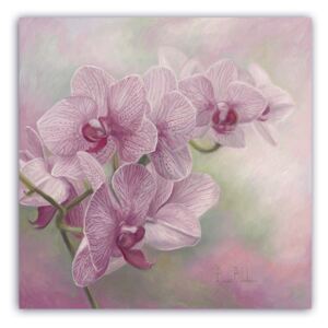 Tablou Canvas - Vintage, Orhidee, Floral, Roz