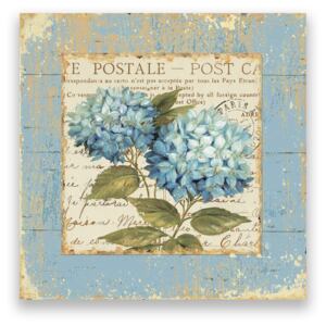Tablou Canvas - Vintage, Flori, Post Card, Albastru