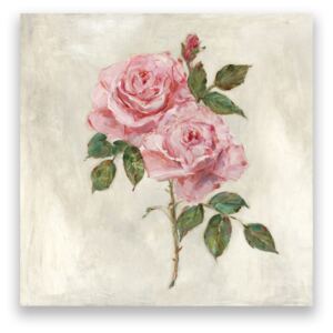 Tablou Canvas - Floral, Flori, Trandafir, Roz, Pictura