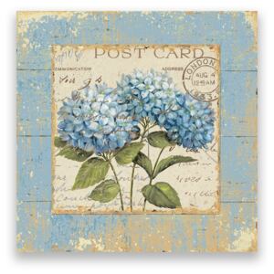 Tablou Canvas - Vintage, Floral, Post Card, Albastru