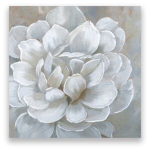 Tablou Canvas - Floral, Alb, Flori, Bujori