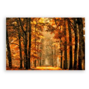 Tablou Canvas - Padure, Peisaj, Natura, Frunze, Toamna