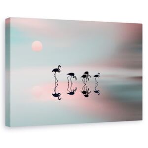 Tablou canvas - Familia de flamingo, Flori, Silueta, Soare, Roz