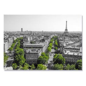 Tablou Canvas - Turnul Eiffel, Paris, oras, cladiri, strazi, Franta, Alb negru, Verde