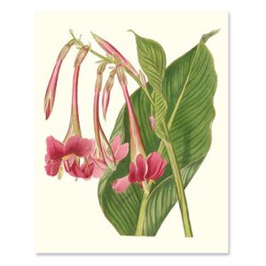 Tablou Canvas - Flori tropicale din India, Frunza, Retro, Verde, Roz