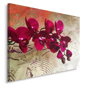 CARO Tablou pe pânză - Orchids 10 50x40 cm