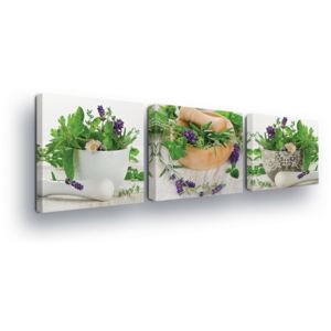 GLIX Tablou - Decorations with Herbs Trio 3 x 25x25 cm