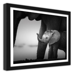 CARO Imagine în cadru - Little Elephant 2 40x30 cm Negru