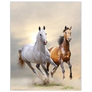 Tablou horses in dust