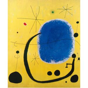 Tablou canvas living - Loro dell Azzurro 70 x 50 cm