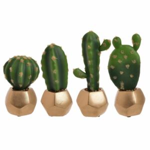 Zinne Set 4 cactusi in ghiveci, Plastic, Verde