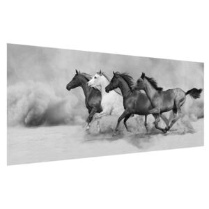 Tablou alb negru cu cai (Modern tablou, K012065K12050)