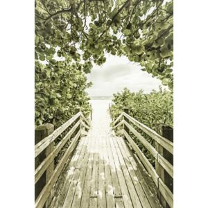 Fotografii artistice Bridge to the beach with mangroves | Vintage, Melanie Viola