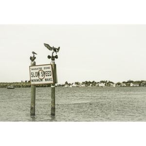 Fotografii artistice Coastal View from Fort Myers Beach | Vintage, Melanie Viola
