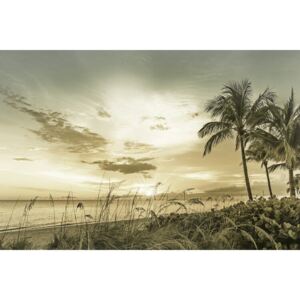 Fotografii artistice BONITA BEACH Sunset | Vintage, Melanie Viola