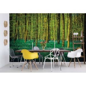 GLIX Fototapet - Green Forest Trees Papírová tapeta - 184x254 cm