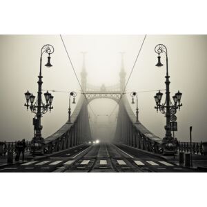 Fotografie de artă The Bridge, arminMarten, (40 x 26.7 cm)