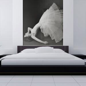 Fototapet - Dreamy balerína 200x154 cm