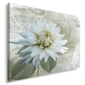 CARO Tablou pe pânză - White Flower 40x30 cm