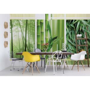 Fototapet GLIX - Bamboo Forest Nature + adeziv GRATUIT Tapet nețesute - 312x219 cm
