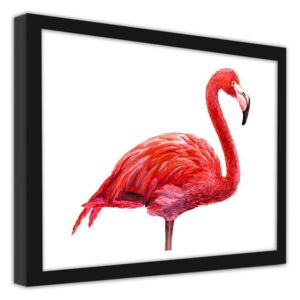 CARO Imagine în cadru - A Realistic Illustration Of A Flamingo 70x50 cm