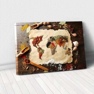 Tablou Canvas - Spices world map