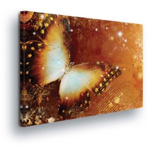 Tablou - Butterfly in Golden Tones II 100x75 cm
