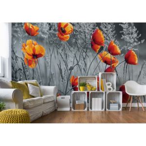 Fototapet - Orange Poppies Black And White Vliesová tapeta - 206x275 cm